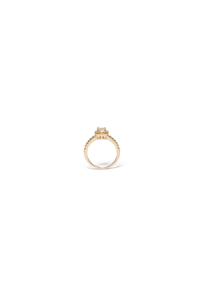 NINA RING - Aniye Records
