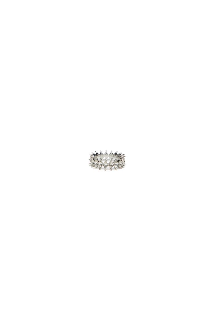 FIA RING