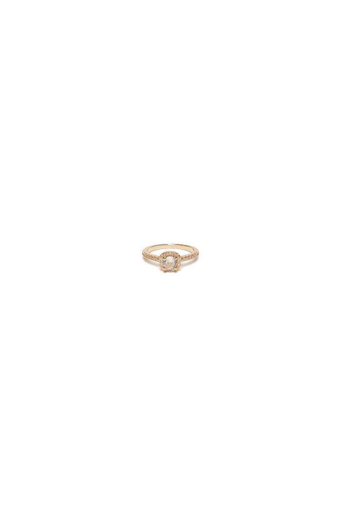 NINA RING