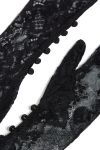 GLOVE LEA - Aniye Records